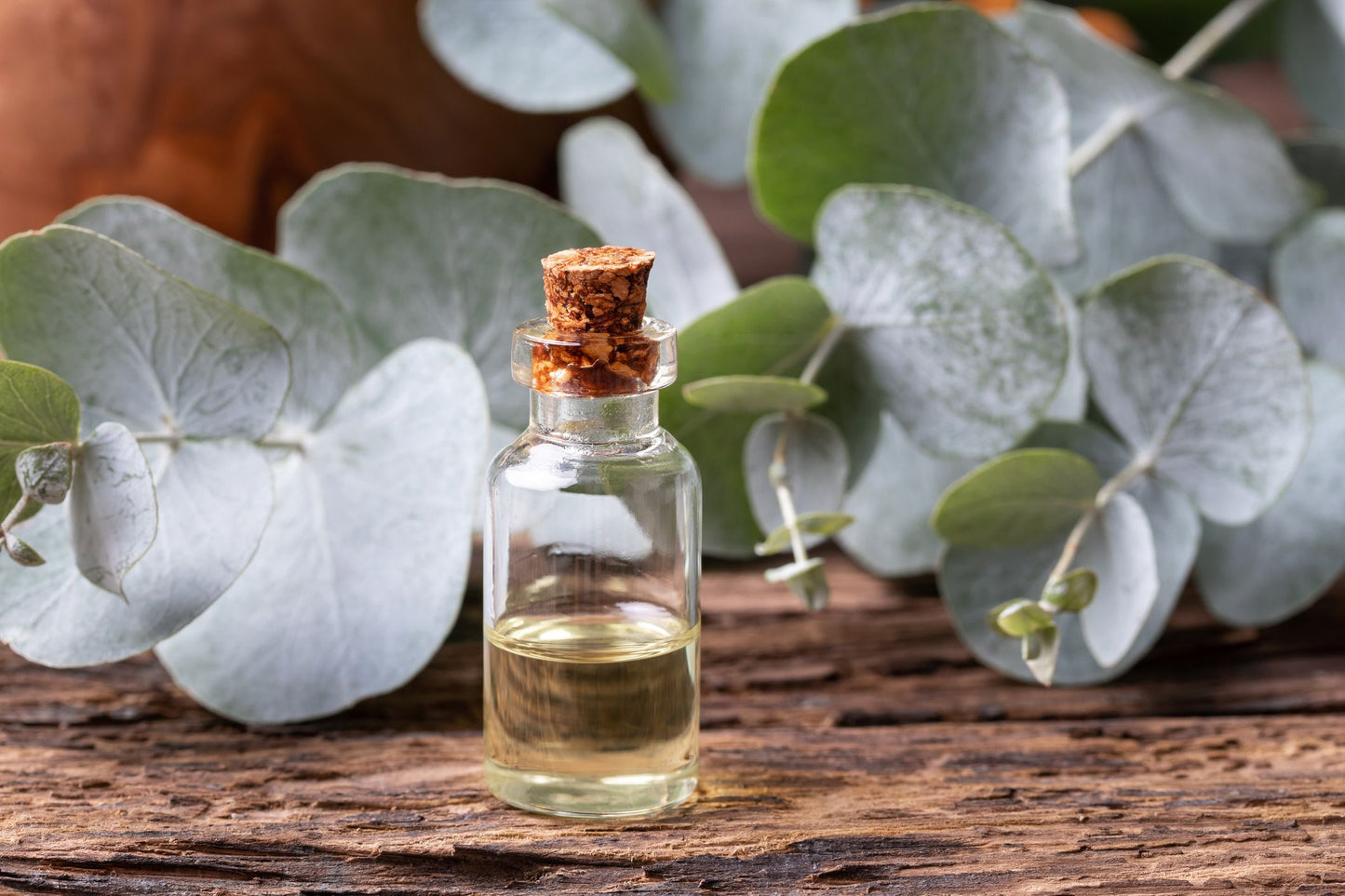 Moroccan Argan Oil