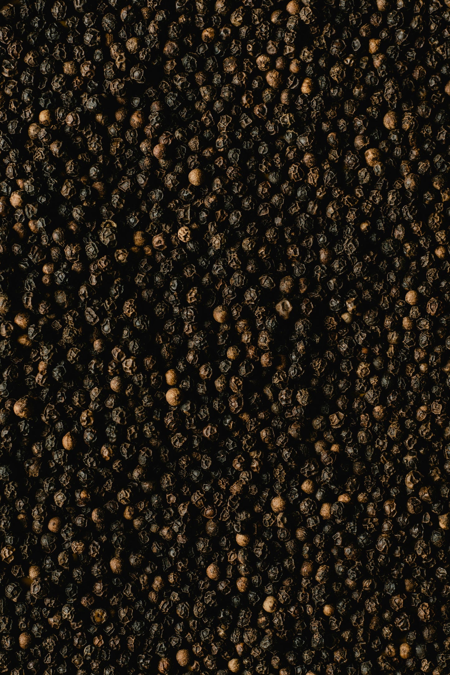 D&G Light Blue (M) Type